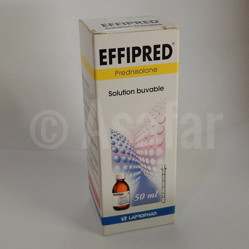 Effipred 0,1%, 1 Mg, 1 Flac 50 Ml – Asafar.net.أسافار